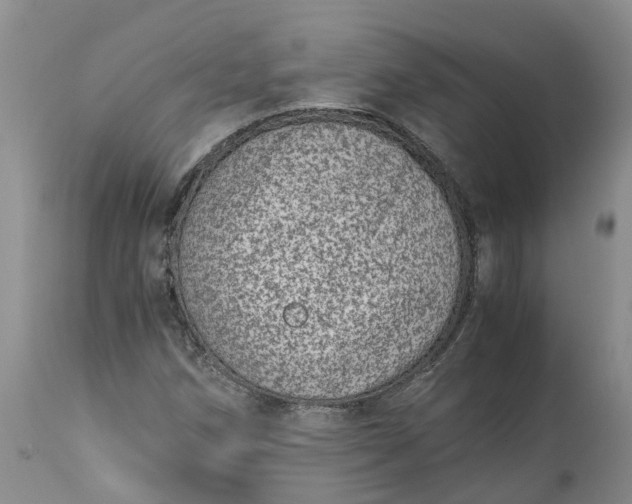 X0000115001258200911091350