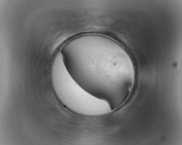 X0000115001259200911091350