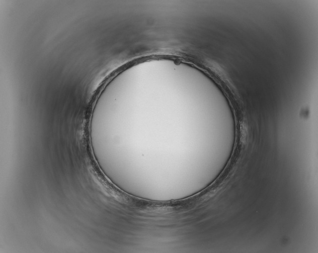 X0000115001260200911091350