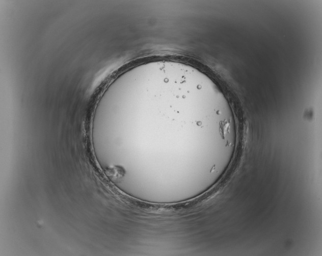 X0000115001261200911091350