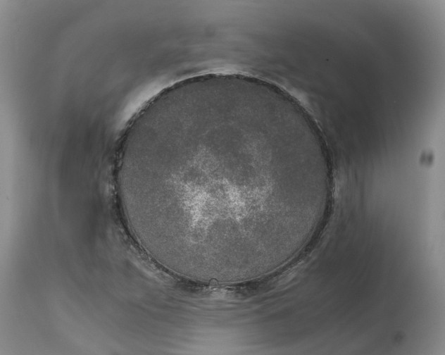 X0000115001263200911091350