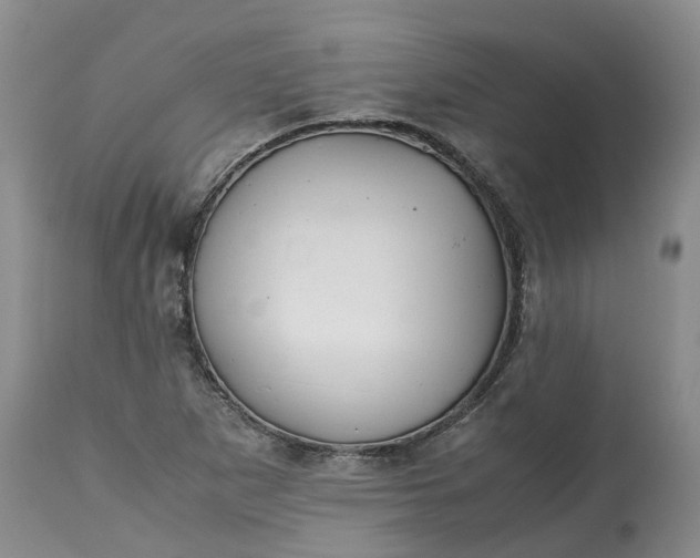 X0000115001265200911091350