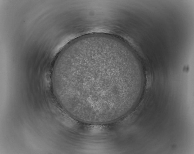X0000115001266200911091350