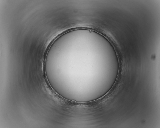 X0000115001268200911091350
