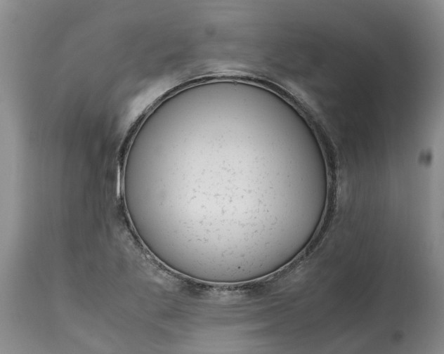 X0000115001269200911091350