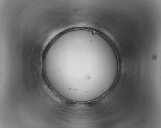 X0000115001270200911091350