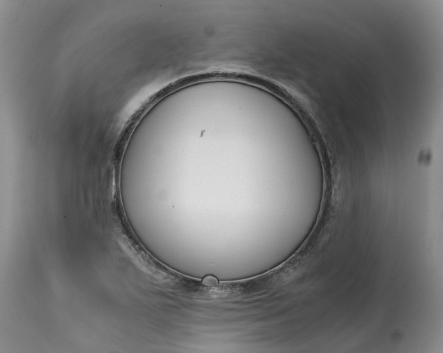 X0000115001271200911091350