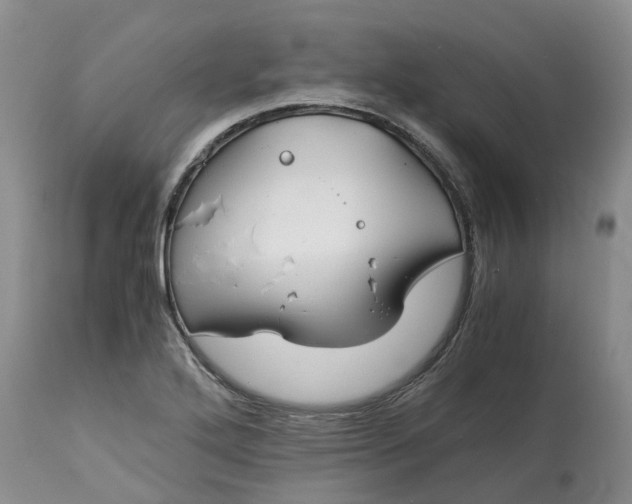 X0000115001272200911091350