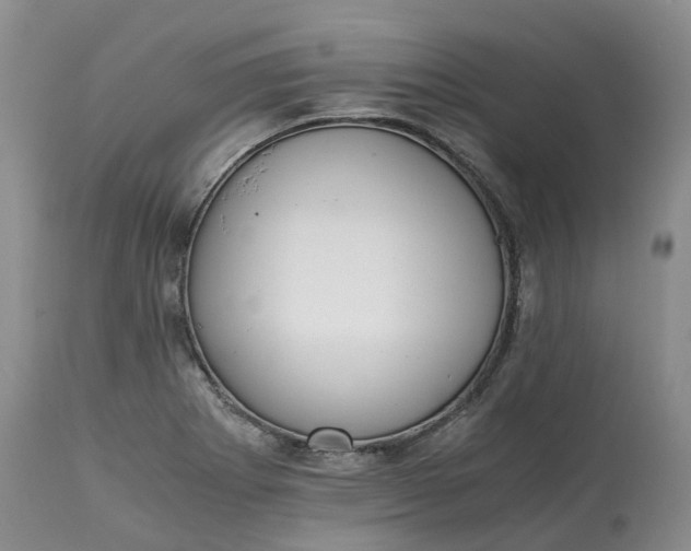 X0000115001273200911091350