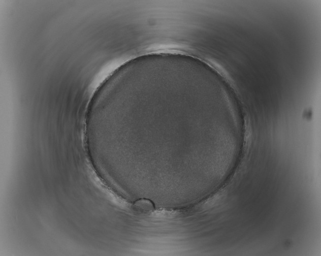 X0000115001277200911091350