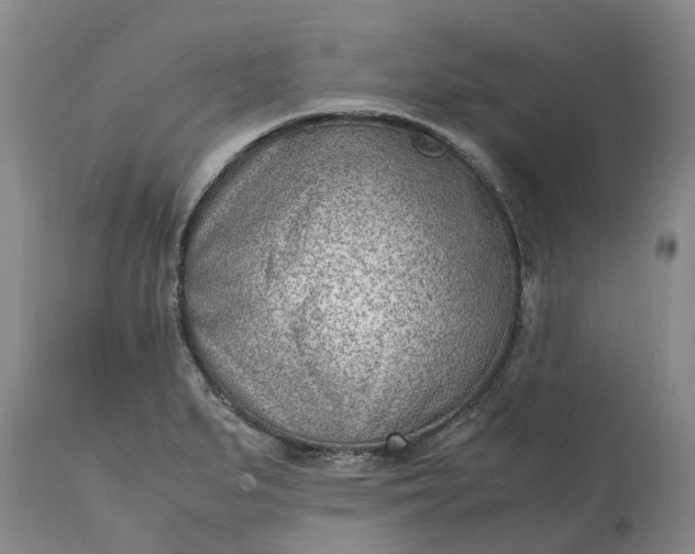 X0000115001279200911091350