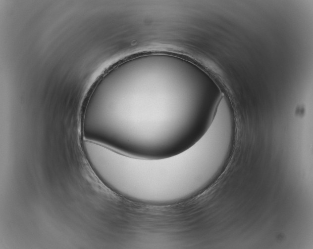 X0000115001280200911091350