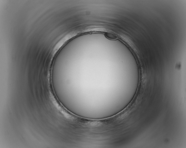 X0000115001282200911091350