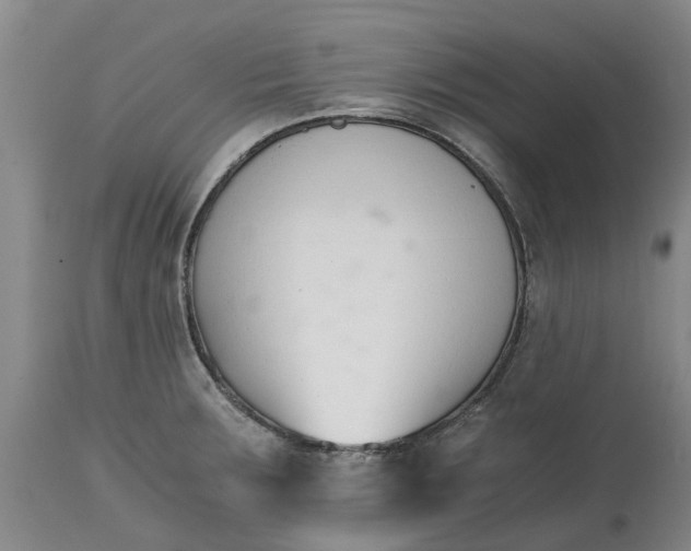 X0000115001283200911091350