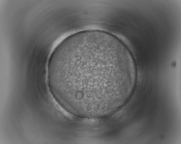 X0000115001286200911091350