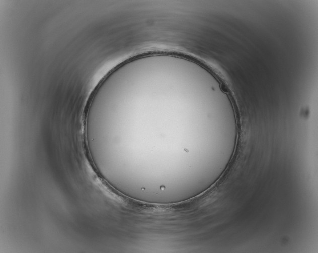 X0000115001287200911091350