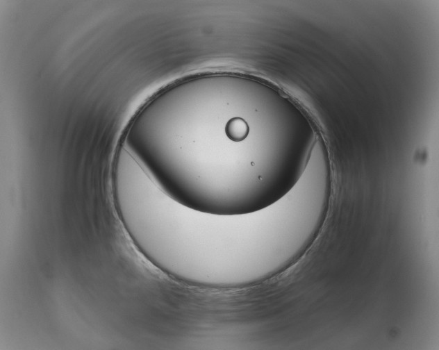 X0000115001288200911091350