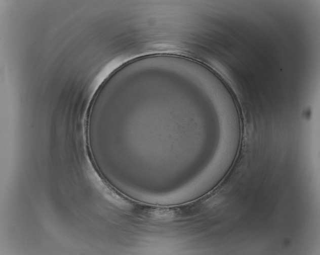 X0000115001291200911091350