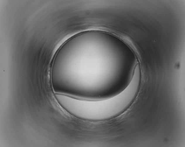 X0000115001292200911091350