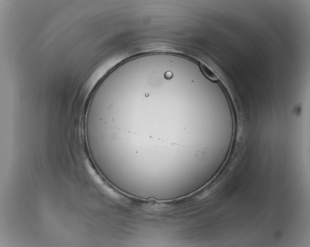 X0000115001293200911091350