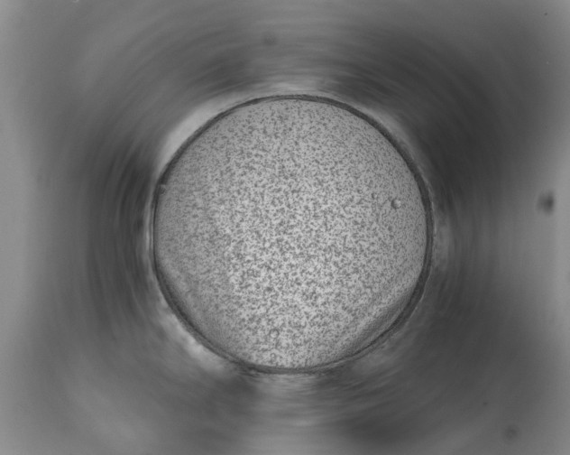 X0000115001294200911091350