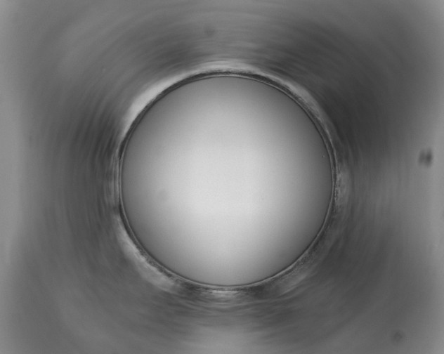 X0000115001295200911091350