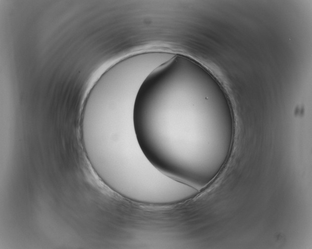 X0000115001296200911091350