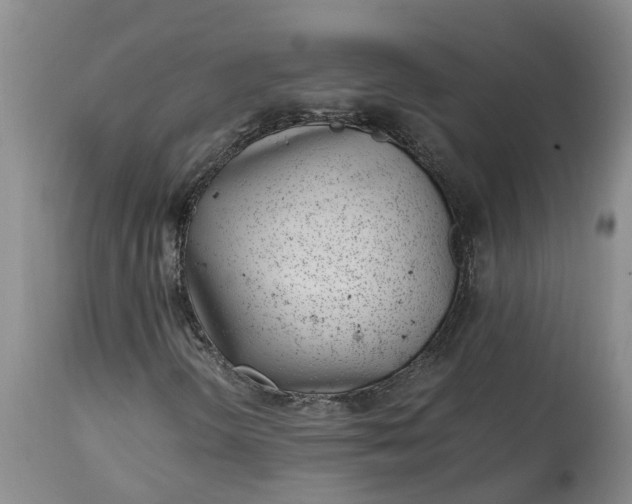 X0000115001298200911091349