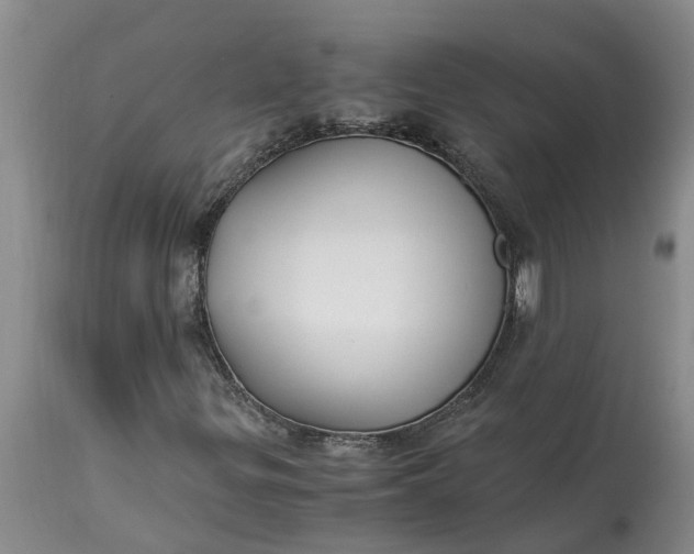 X0000115001299200911091349