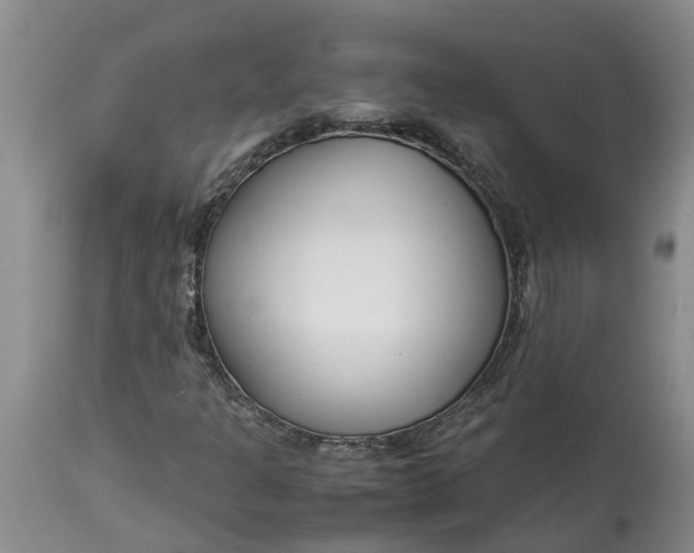 X0000115001301200911091349