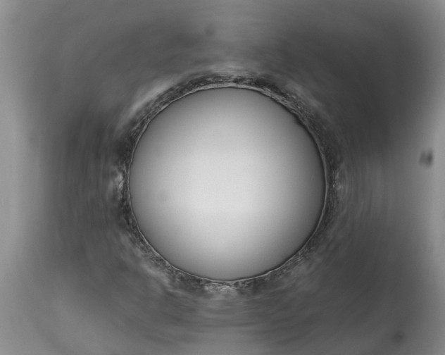 X0000115001302200911091349