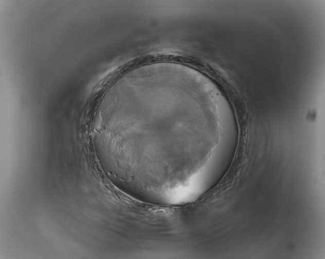 X0000115001303200911091349