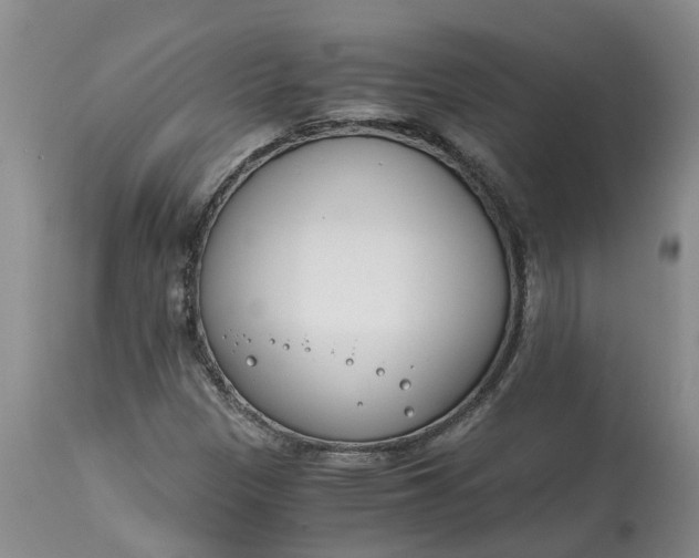 X0000115001305200911091349