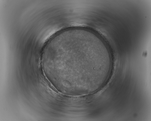 X0000115001306200911091349