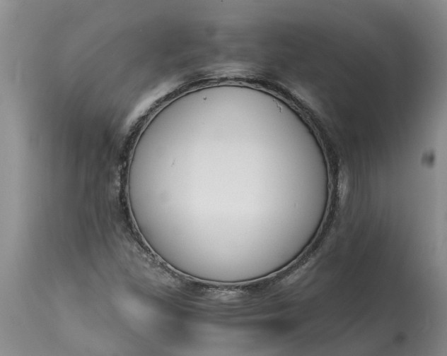 X0000115001309200911091349