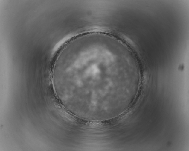 X0000115001310200911091349