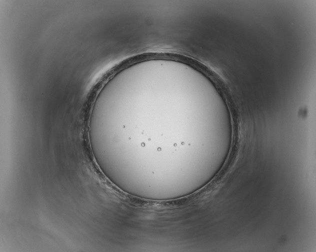 X0000115001311200911091349