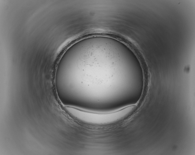 X0000115001314200911091349