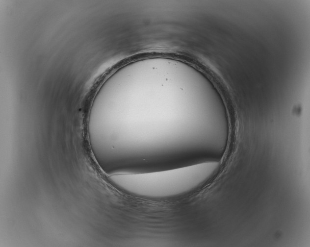 X0000115001315200911091349