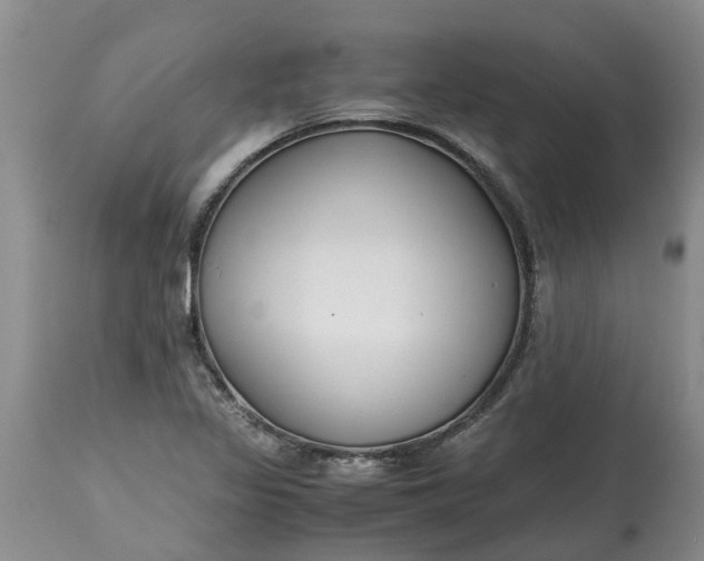 X0000115001317200911091349