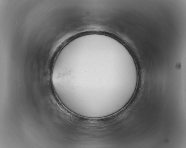 X0000115001318200911091349