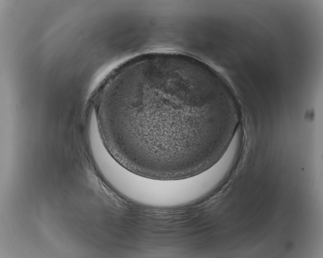 X0000115001319200911091349