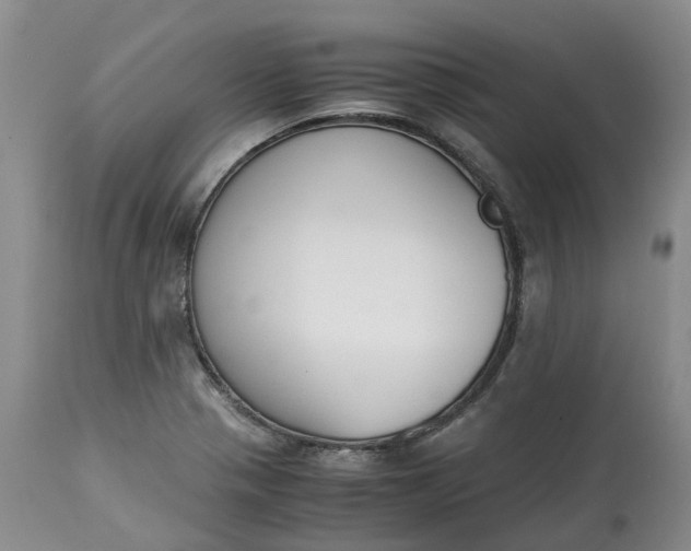 X0000115001321200911091349