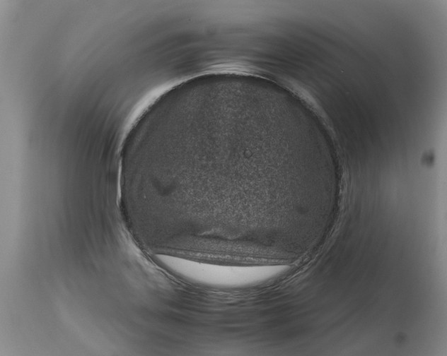 X0000115001323200911091349