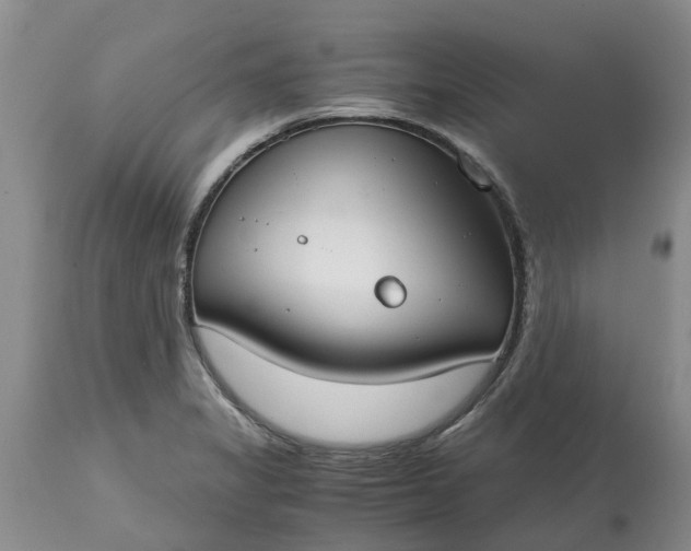 X0000115001325200911091349