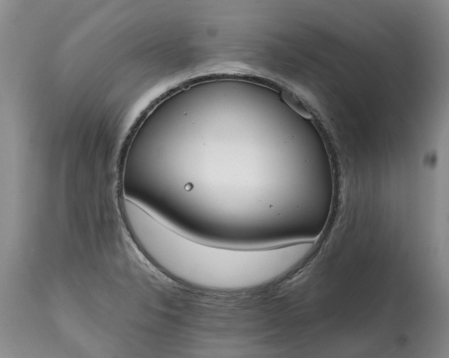 X0000115001326200911091349
