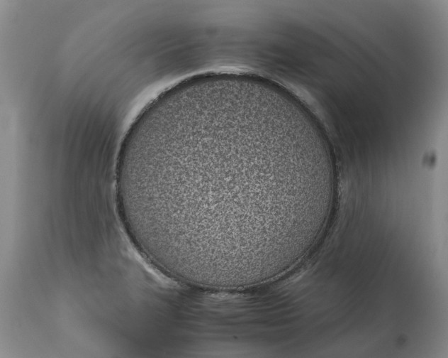 X0000115001327200911091349