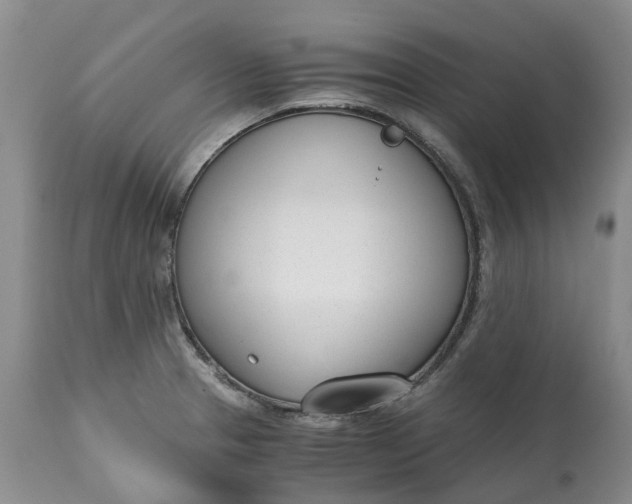 X0000115001329200911091349