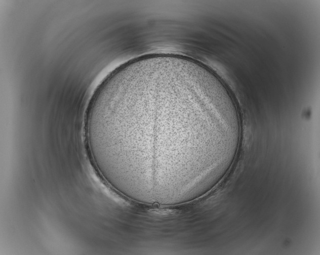 X0000115001331200911091350