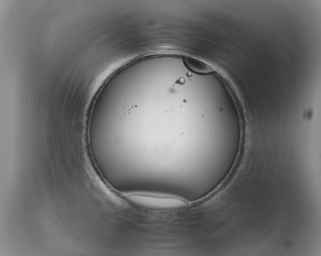 X0000115001333200911091350